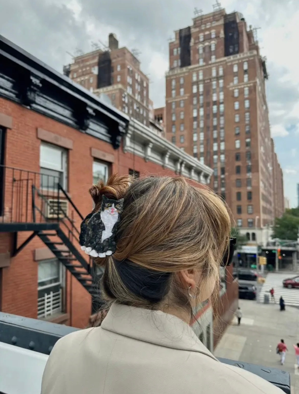 Tuxedo Cat Hair Clip